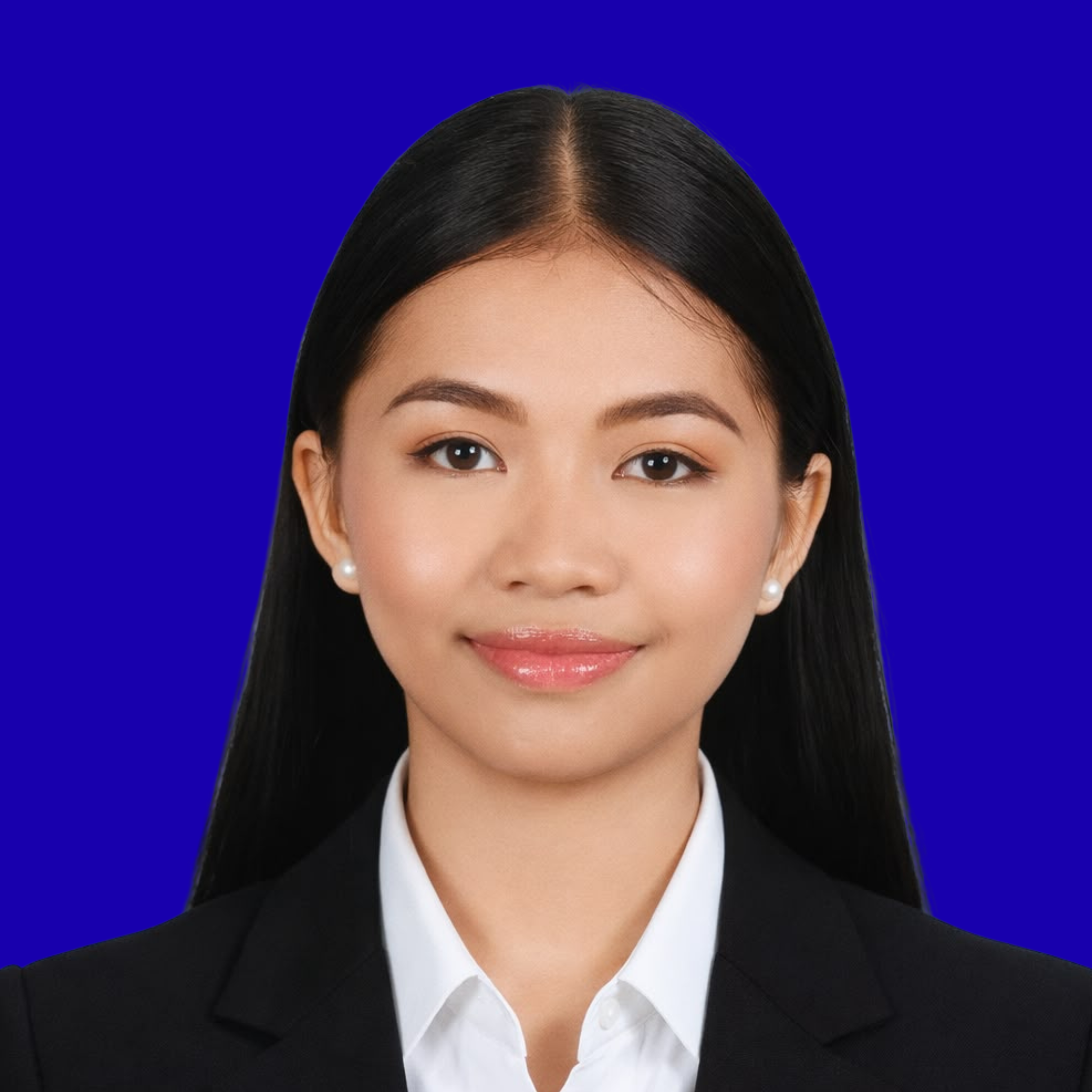 Project Manager